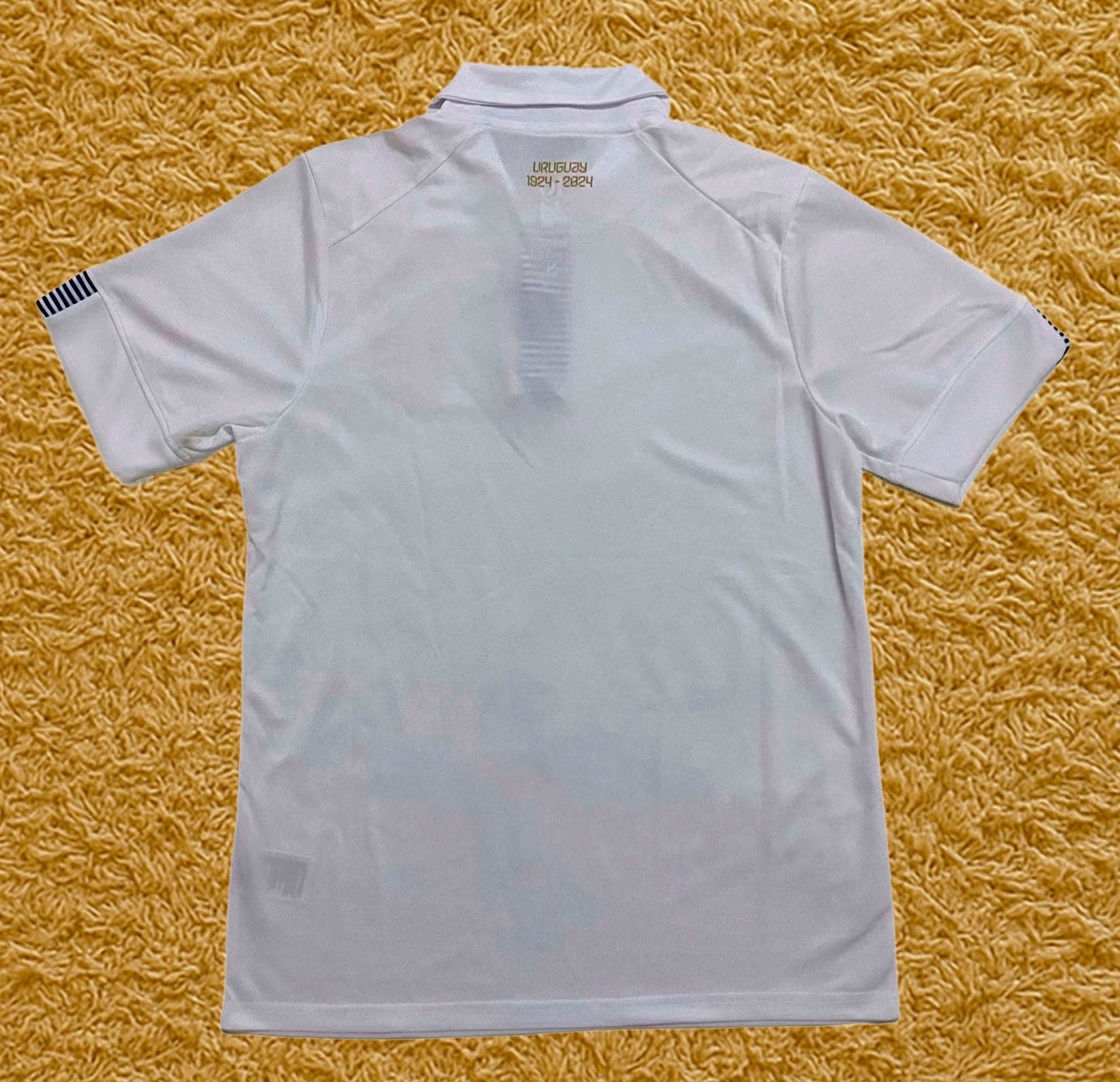 Camiseta Uruguay 2024/25