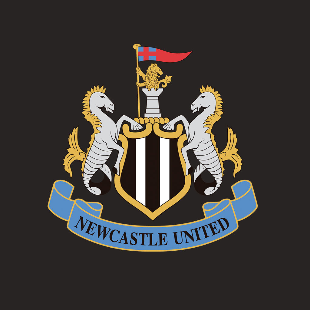 NEWCASTLE 24/25